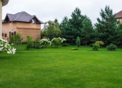 DSC_6221-848x339