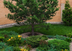 DSC_6239-848x339