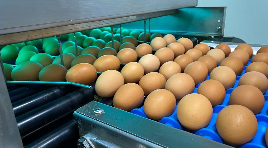 Облучение продукции птицеводства Облучение продукции птицеводства