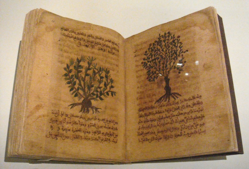 Диоскорид. Из Materia Medica на арабском языке, Испания. 12-13 век Диоскорид. Из Materia Medica на арабском языке, Испания. 12-13 век
