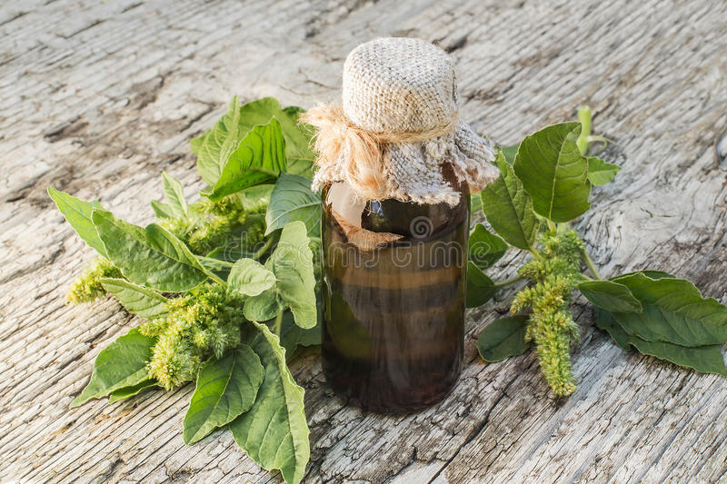 Ценнейший оздоравливающий продукт амарантовое масло / &copy;dreamstime.com