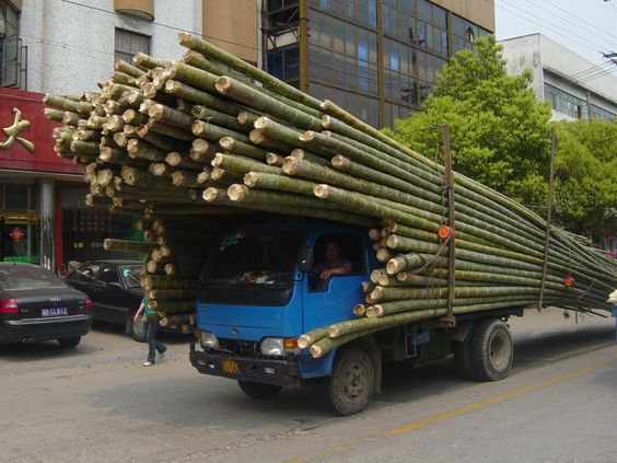 Транспортировка бамбука / &copy; pinterest.com