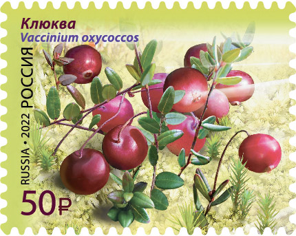 Почтовая марка из серии «Флора России. Ягоды» / фото Бельтюков В. (CC0) Почтовая марка из серии «Флора России. Ягоды». Клюква