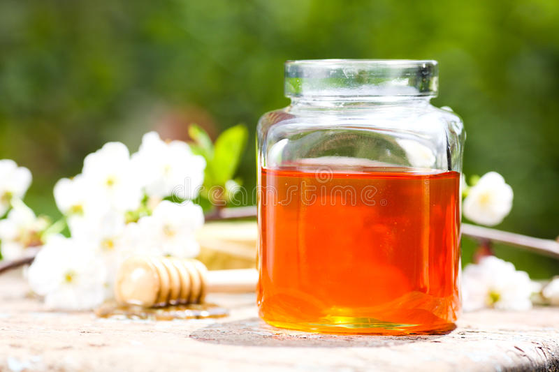 Донниковый мёд / ©dreamstime Донниковый мёд / ©dreamstime
