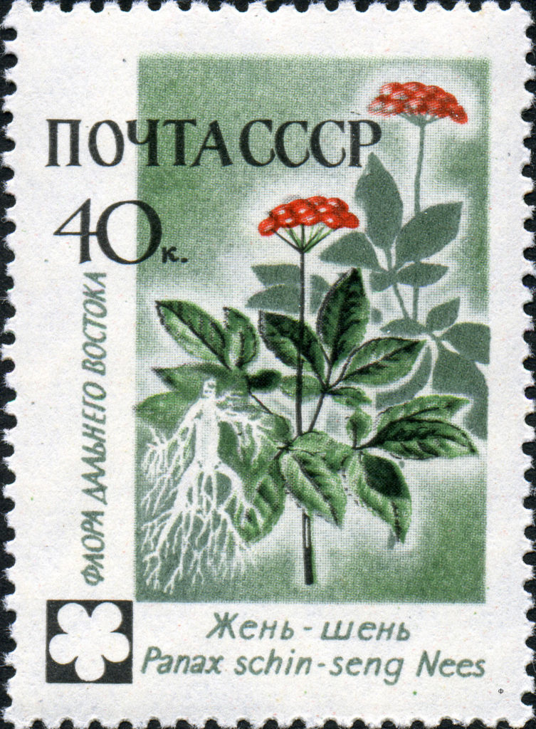 Женьшень на советской марке 1960 года выпуска / (CC0 1.0) Женьшень на советской марке 1960 года выпуска