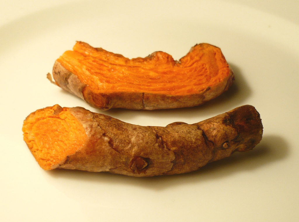 Curcuma longa / Куркума длинная / корень 