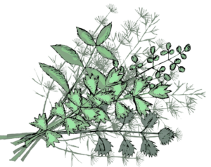 image 12 300x238 - Кустарники