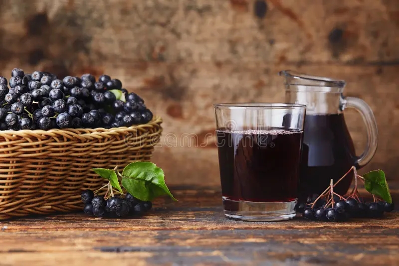 Арония Мичурина, Aronia mitschurini / ©dreamstime Черноплодная рябина заготовки