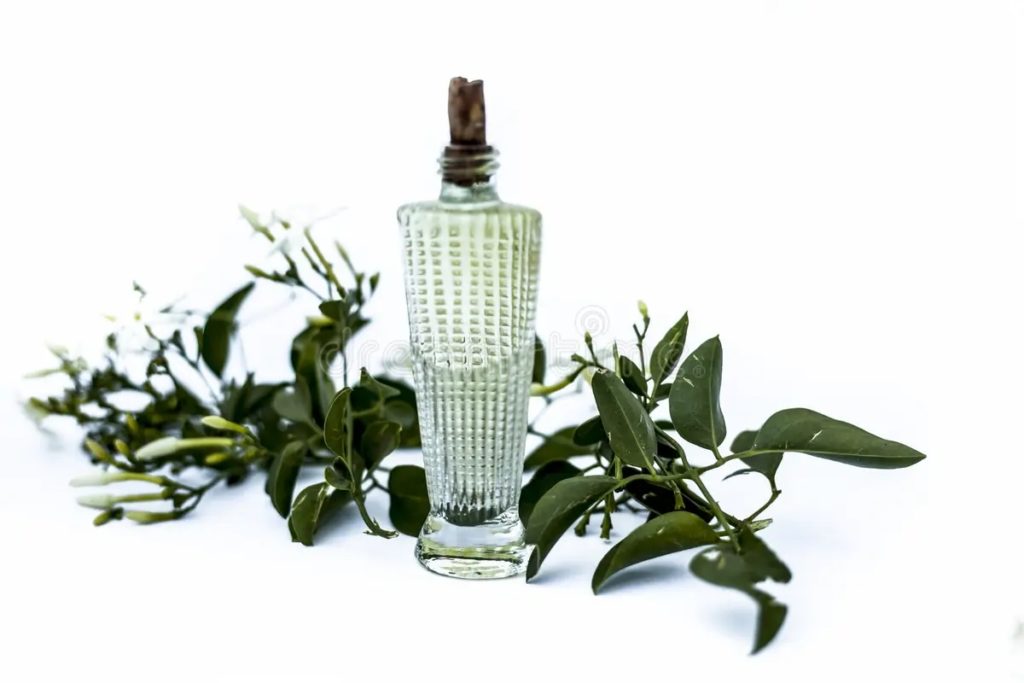 Жасмин / духи эфирного масла индийского цветка Jasminum Auriculatum