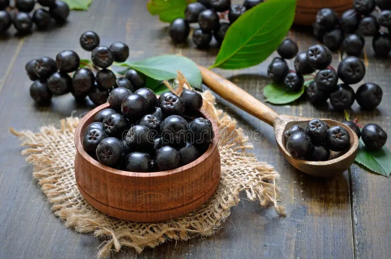 Aronia mitschurini / ©dreamstime Черноплодная рябина