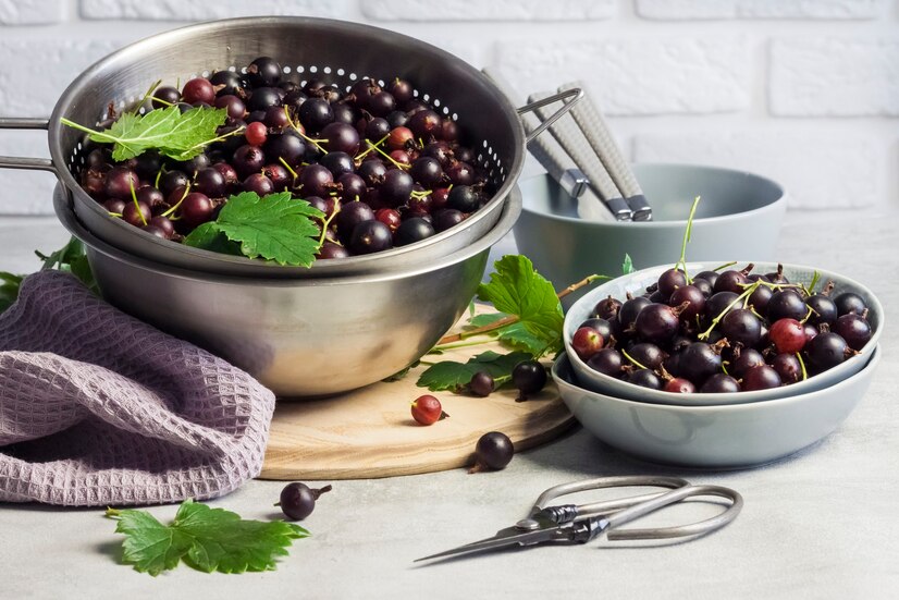 Джостаберри (ribes x nidigrolaria) гибрид черной смородины и крыжовника