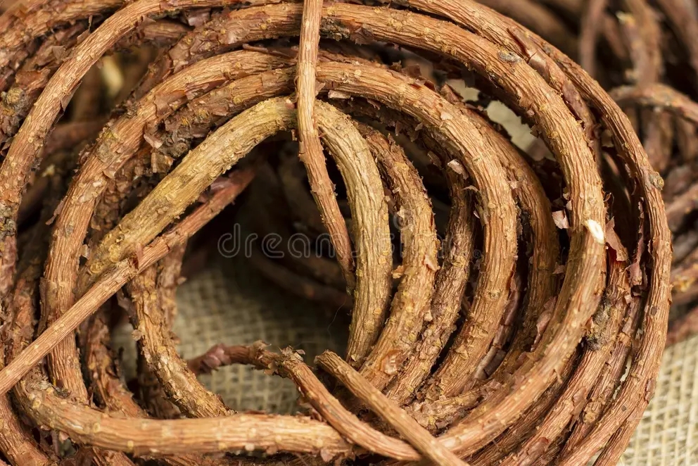 имонник / моток гибких ветвей лимонника