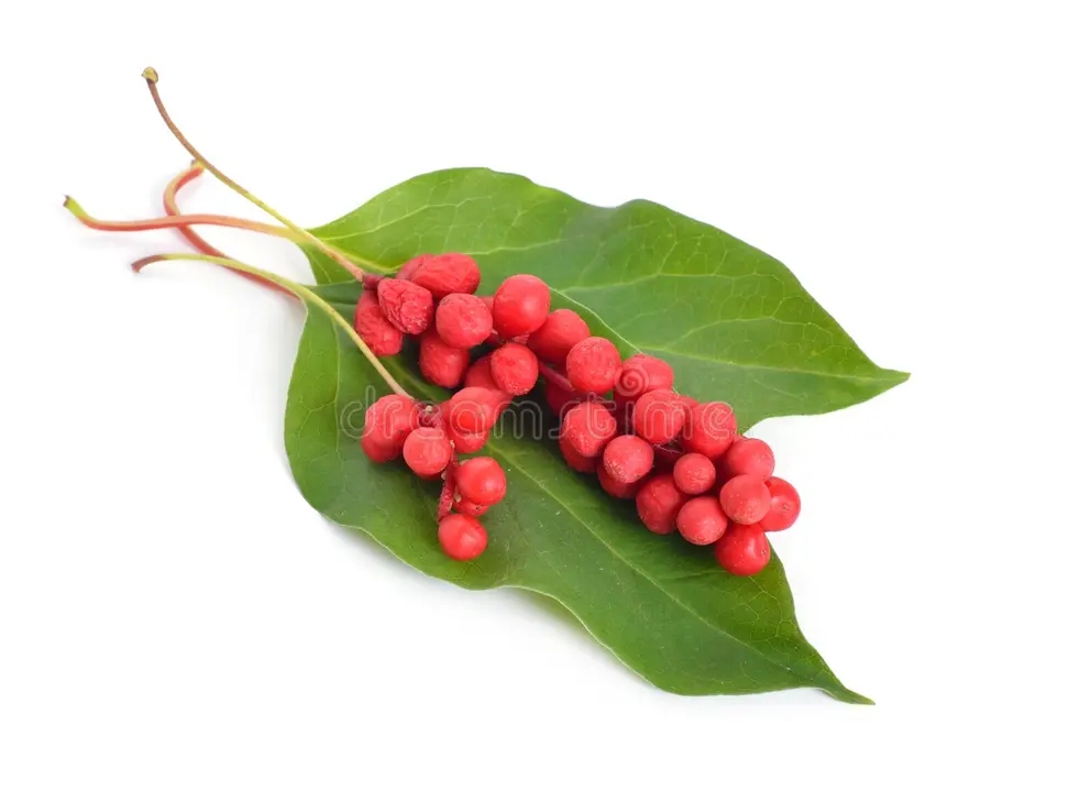 Лимонник китайский (Schisandra chinensis)  - целебное растение