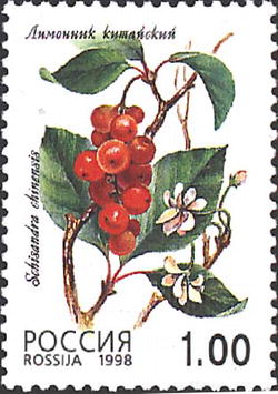 Лимонник китайский (Schisandra chinensis) почтовая марка