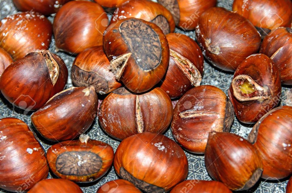  Каштан конский обыкновенный, Aesculus hippocastanum