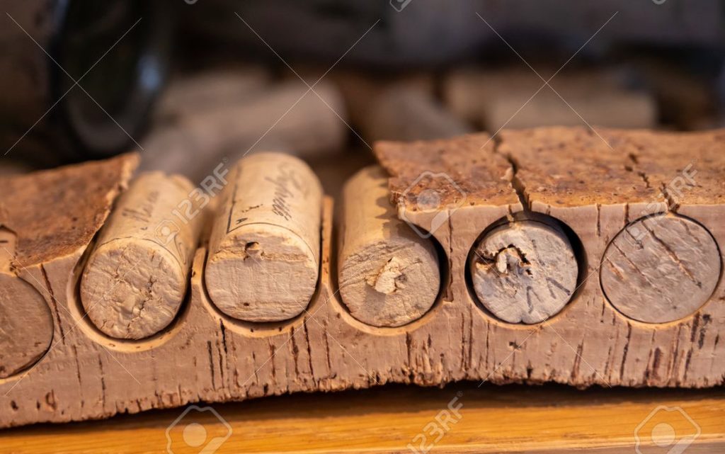 Дуб 199151711 forma tradicional de hacer tapones de corcho para botellas de vino de alcornoque de cerca. jpg 1024x641 - Дуб
