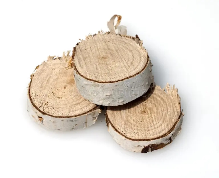 Берёза betula berezy rodnoe derevo kotoroe takzhe ispolzuetsya kak lekarstvennoe 208324991 - Берёза