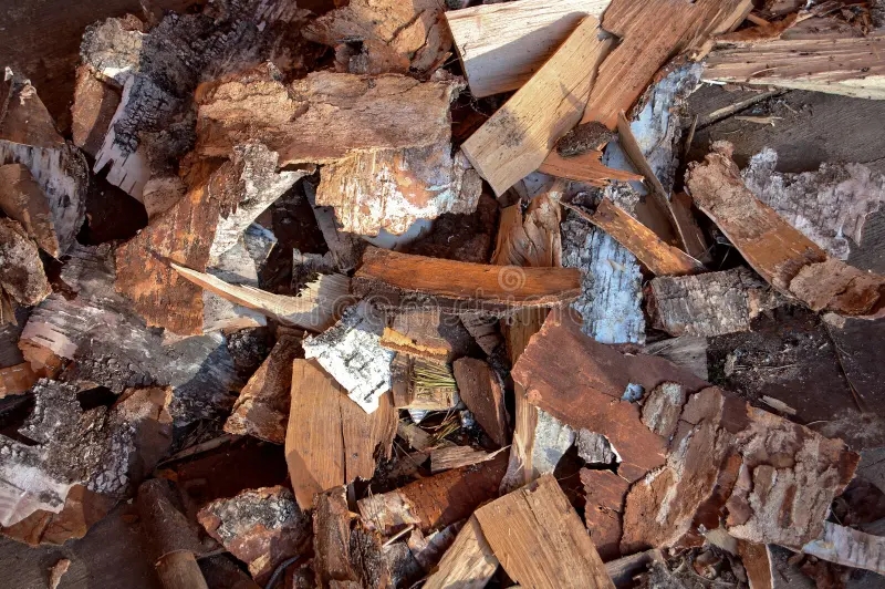 Берёза birch bark pieces abstract background 30798078 1 - Берёза