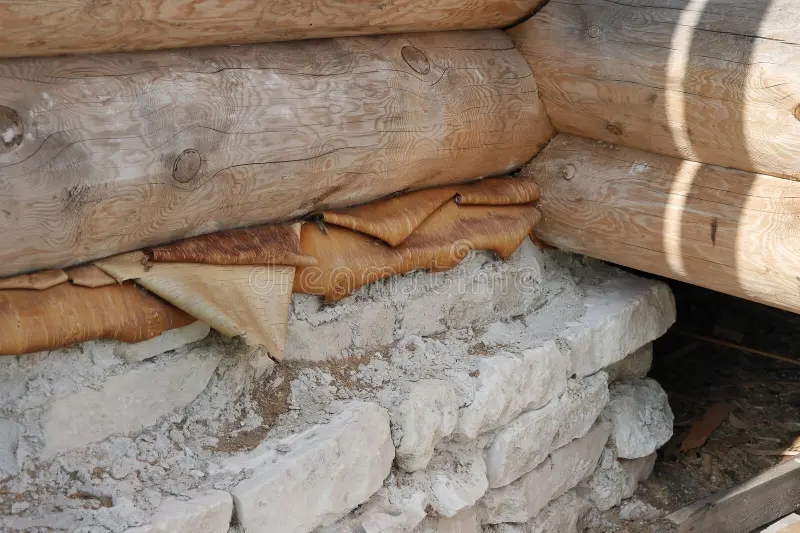 Берёза gidroizolyacziya fundamenta iz beresty 1 - Берёза