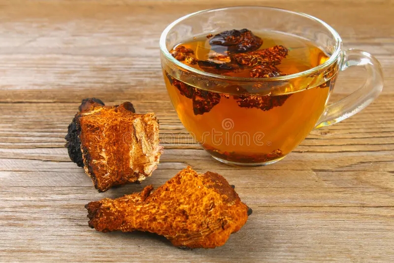 Берёза healing tea birch mushroom chaga used folk medicine healing tea birch mushroom chaga used folk medicine 121505942 1 - Берёза