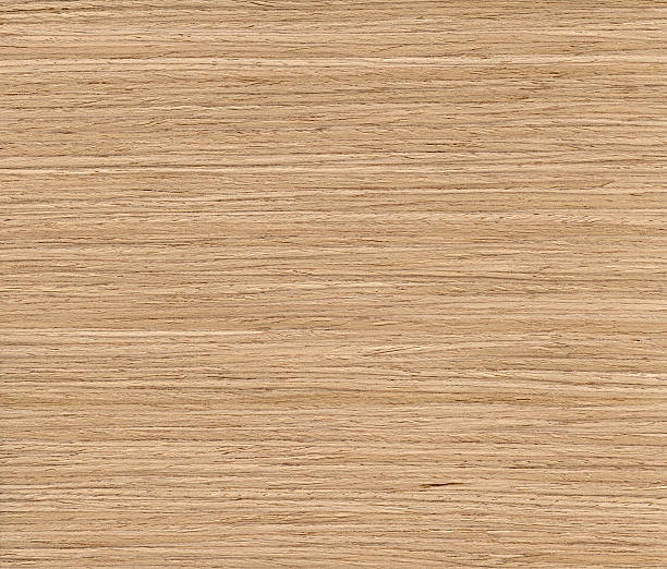 Дуб istockphoto 184855492 612x612 1 - Дуб
