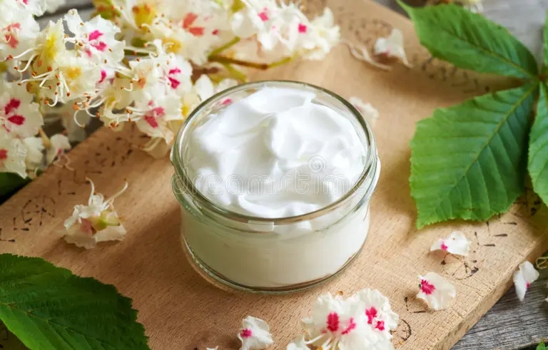 Каштан конский ценится в народной медицине за его лечебные  свойства