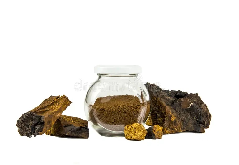 Берёза zdorovyj chistyj prirodnyj grib chaga poroshok izmelcheniya v steklyannoj 180021555 1 - Берёза