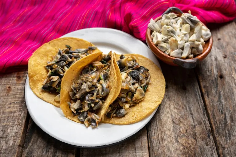 Лепёшки с уитлакоче имеют грибной вкус / ©dreamstime Ууитлакоче имеет грибной вкус