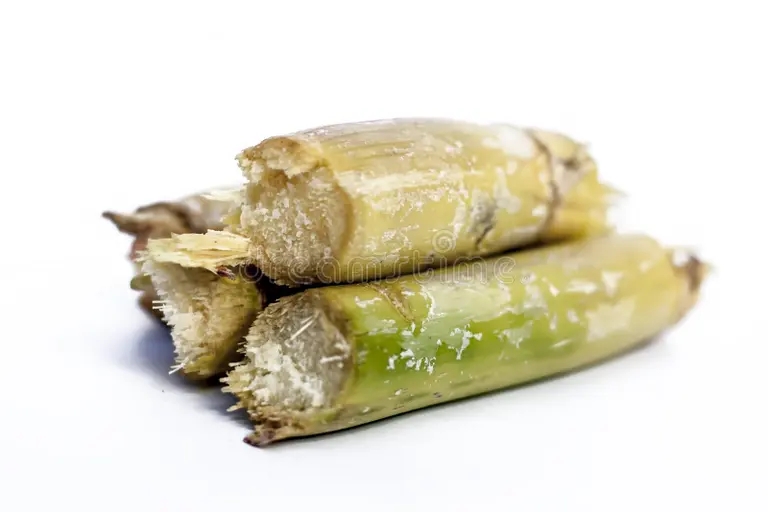 Нарезанный стебель сахарного тростника (Saccharum officinarum) / ©dreamstime Нарезанный стебель сахарного тростника (Saccharum officinarum)