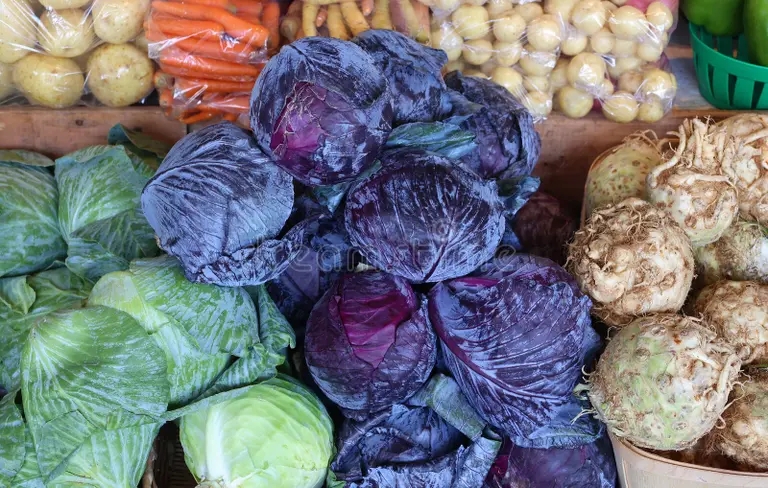 Капуста cabbage headed cabbage comprising several cultivars brassica oleracea cabbage headed cabbage comprising several cultivars 292934999 - Капуста