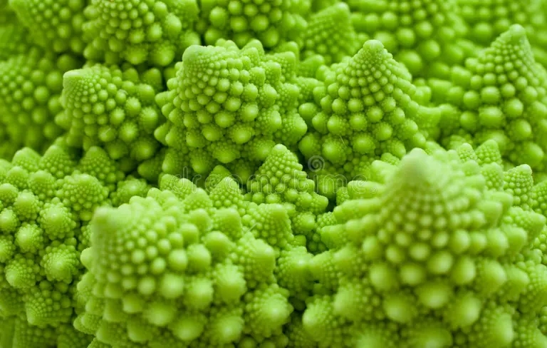 Романеско Brassica oleracea Капуста огородная Романеско