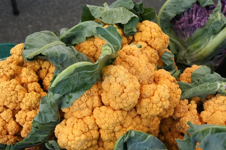 Цветная Brassica oleracea Капуста огородная Цветная