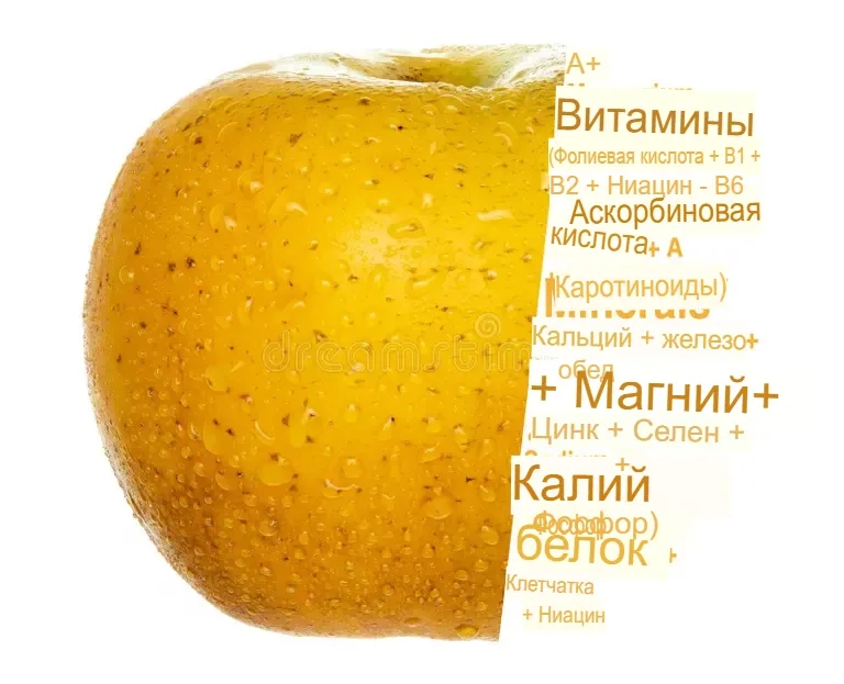 Яблоко источник здоровья