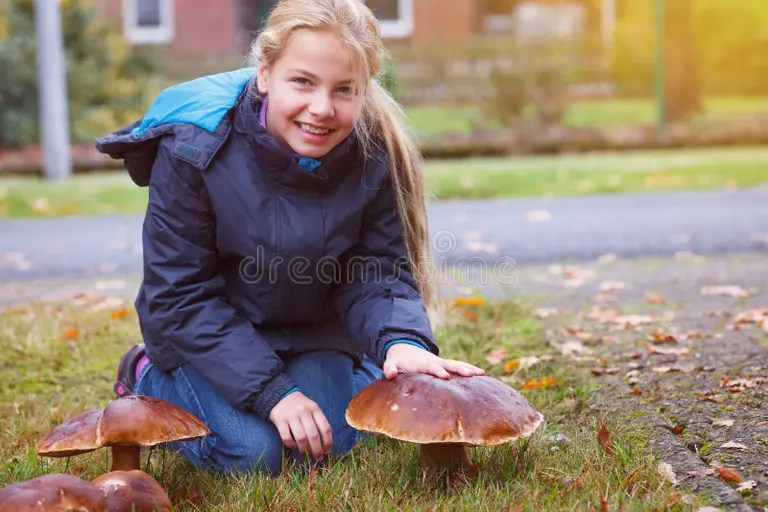 Белый гриб boletus della baia trovato ragazza 119963002 - Белый гриб