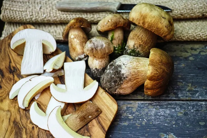 Белый гриб boletus edulis king bolete wooden table whole sliced 74456563 - Белый гриб