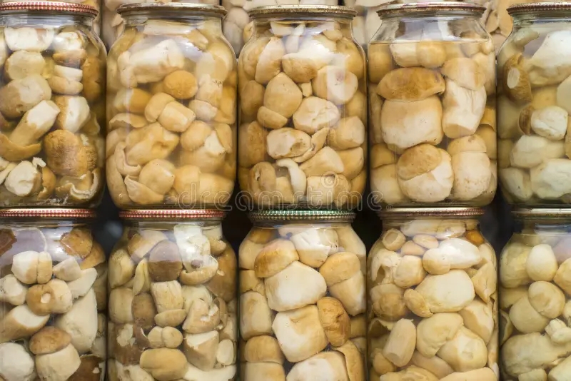Белый гриб preserve mushrooms glass jars delicious marinated boletus edulis homemade preservation autumn armillaria mellea 223412350 - Белый гриб