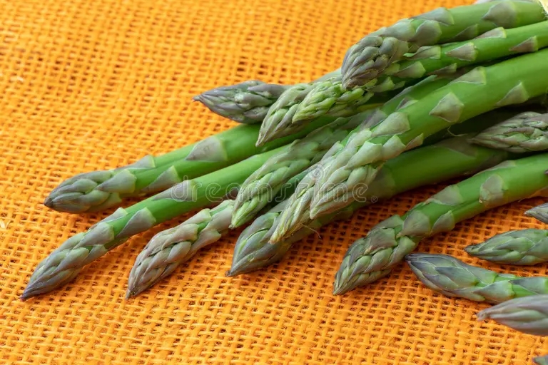Спаржа обыкнове́нная&nbsp;(Asparagus officinalis)