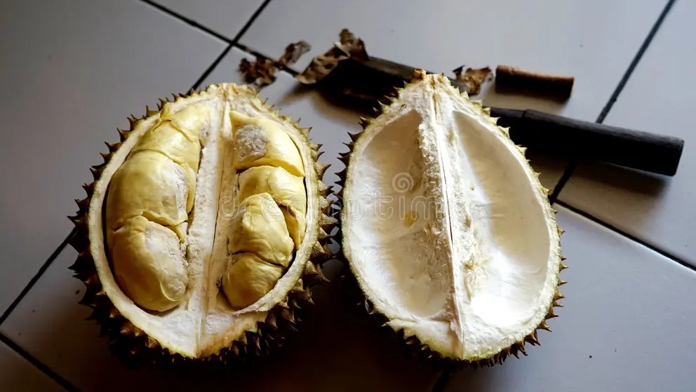 Дуриан close up durian table photo was taken afternoon village pelapuan bali indonesia close up durian 177071089 - Дуриан