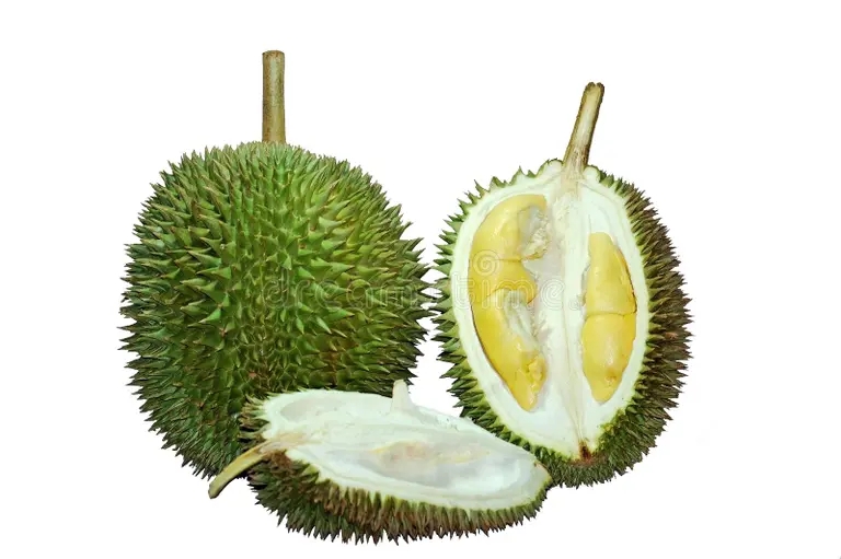 Дуриан durian 930251 - Дуриан