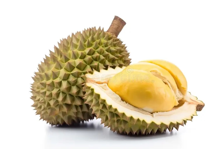 Дуриан durian half isolated white background generated ai 281857175 - Дуриан