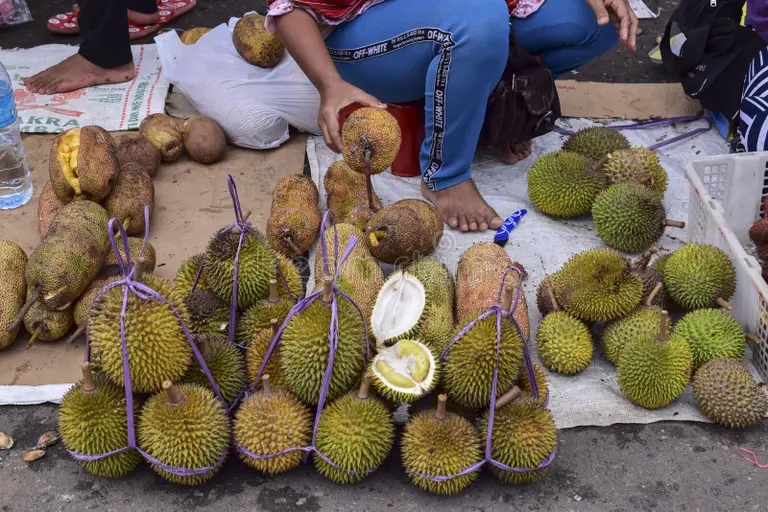 Дуриан durio zibethinus durian traditional market durio zibethinus durian market 138257573 - Дуриан
