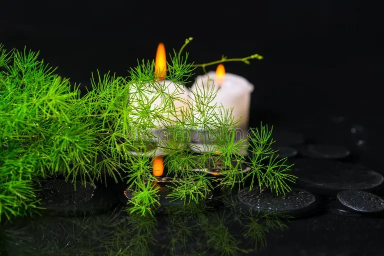 el esparrago con descensos y las velas en piedras del basalto del zen adentro reflejan 50096017 - Аспарагус