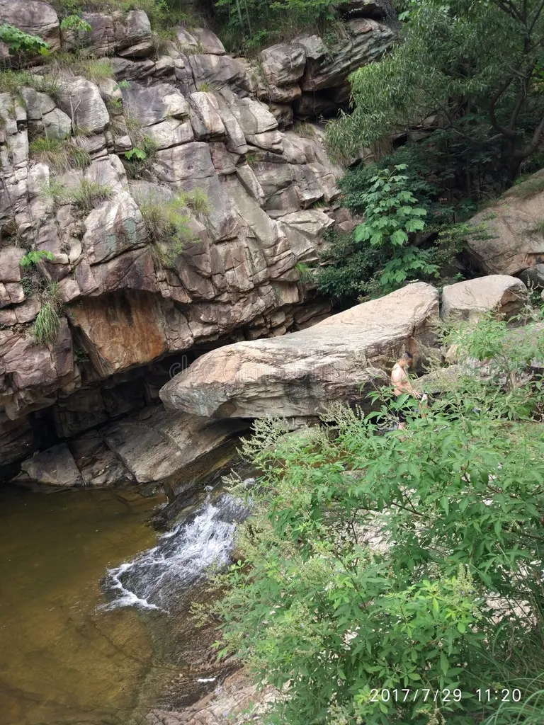 piedra espero que disfruten las fotos tomadas por el novato 163796002 - Аспарагус