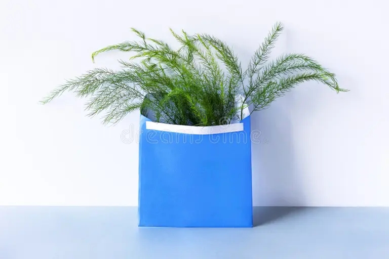 sobre azul con ramas de esparragos abierto verdes la mesa composicion primavera proyecto para vacaciones mofa postal 268745111 - Аспарагус