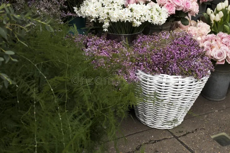 variedad de colores cerca la tienda freedom en londres ramos grandes jarrones estano una 174470880 - Аспарагус