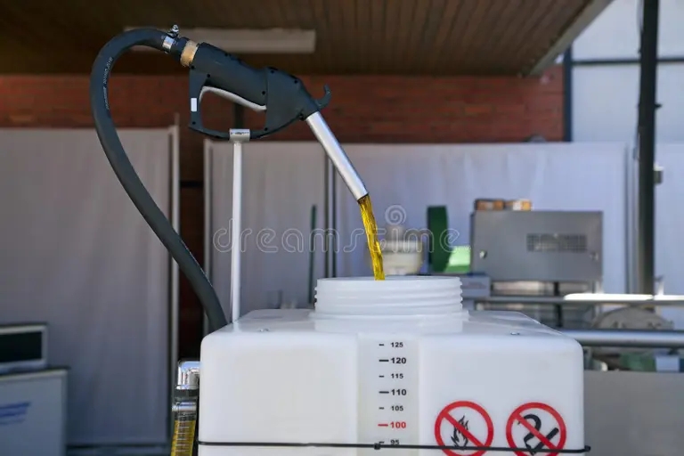 el producir del biodiesel 32346883 - Рапс