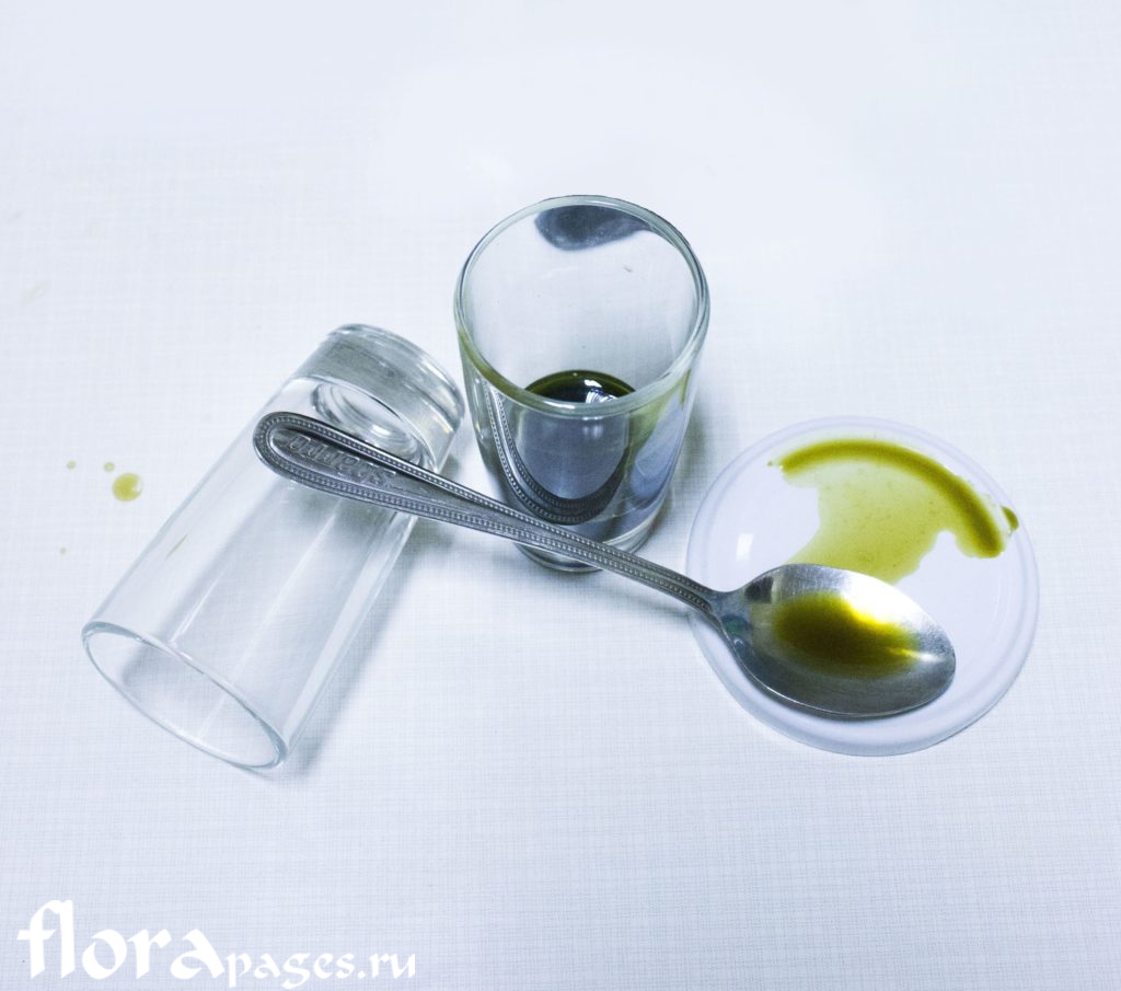 На креплёной водке цвет настойки маньчжурского незрелого ореха будет зеленоватым На креплёной водке цвет настойки маньчжурского незрелого ореха будет зеленоватым