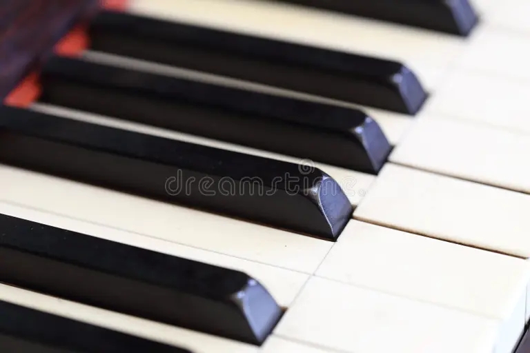 Эбони piano keys wood grain close up 56095204 - Эбони