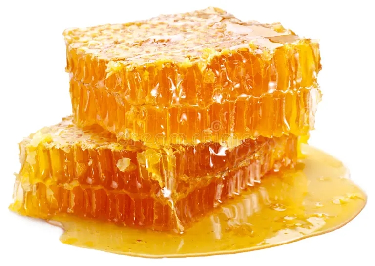 Пчелиный мёд - целебный продукт Пчелиный мёд - целебный продукт