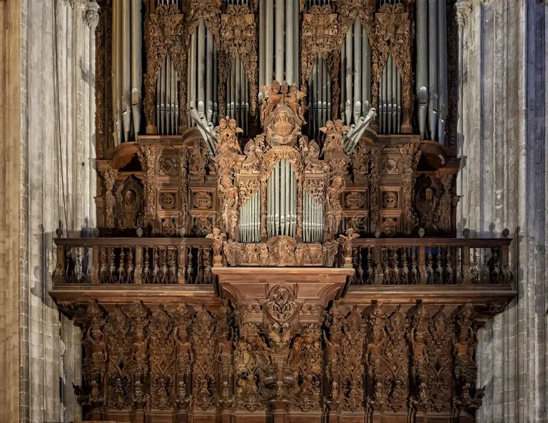 Красное дерево truboorganicheskij organ v sobore sevili igluzii izobrazhen trubchatyj 237499343 - Красное дерево